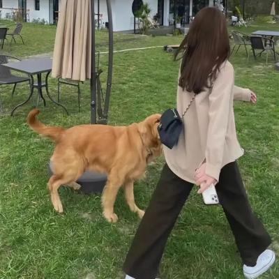 燕尔新婚